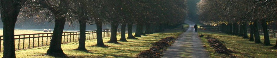 FTI: Family Tree Investigations